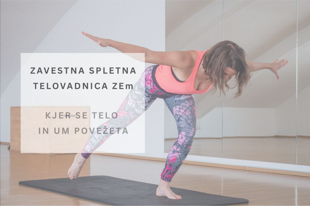 Zavestna spletna telovadnica ZEm