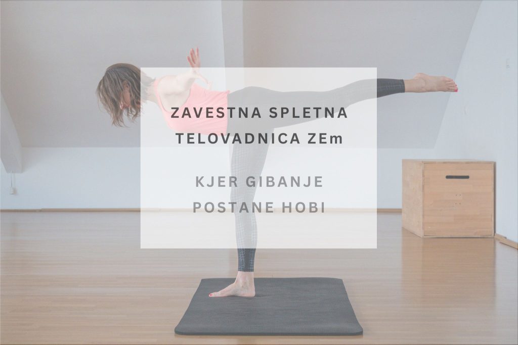 Zavestna spletna telovadnica ZEm