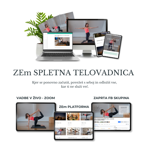Spletna telovadnica ZEm