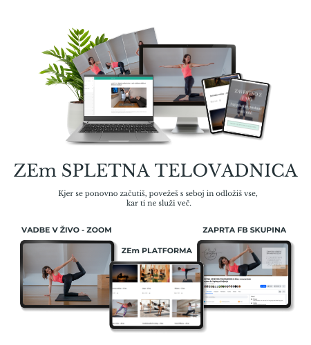 Spletna telovadnica ZEm
